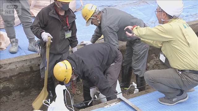 メイン記事画像