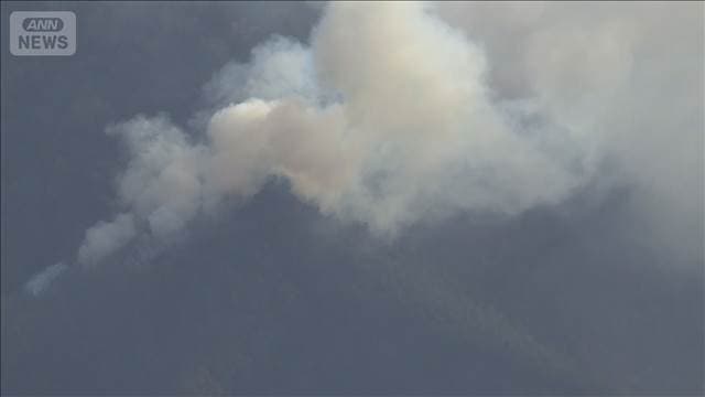 メイン記事画像