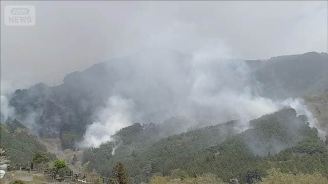 メイン記事画像