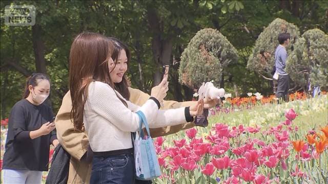 メイン記事画像