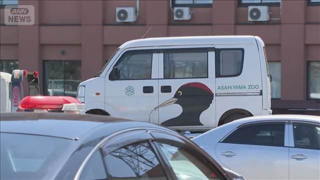 メイン記事画像