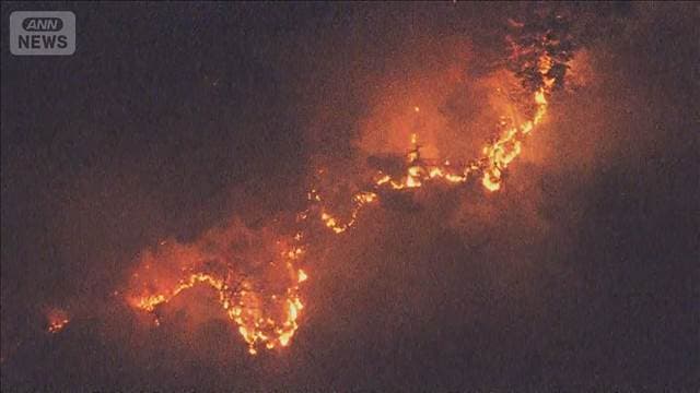 メイン記事画像