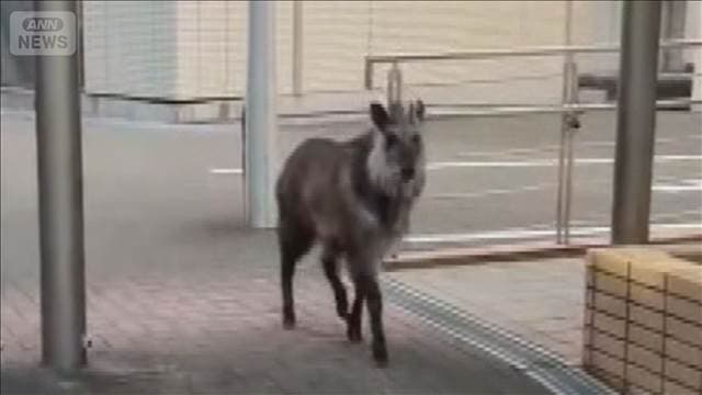 メイン記事画像