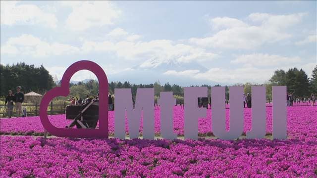 メイン記事画像