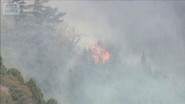 メイン記事画像