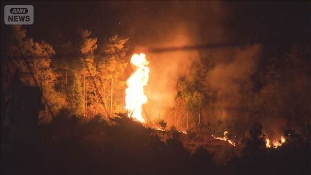 メイン記事画像