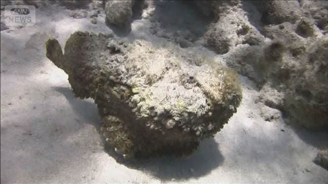 メイン記事画像