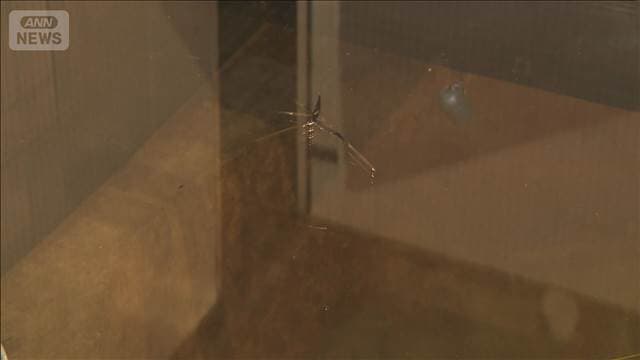 メイン記事画像