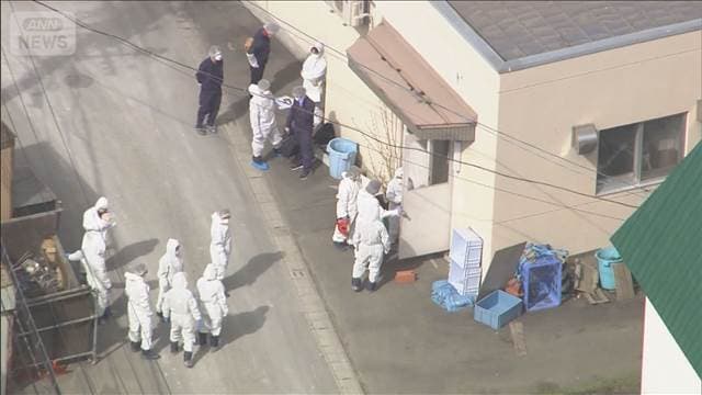 メイン記事画像