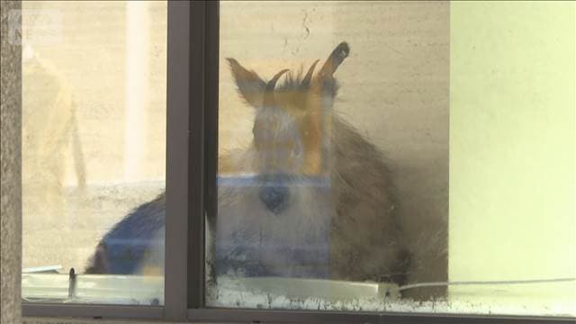 メイン記事画像