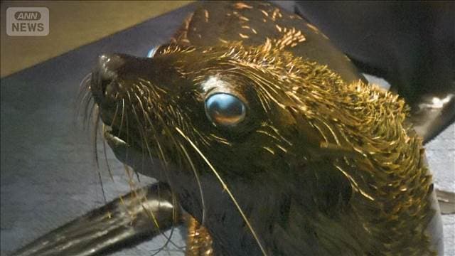 メイン記事画像