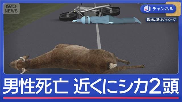 メイン記事画像