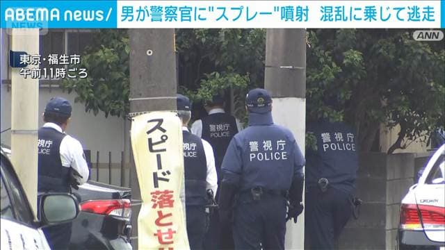 メイン記事画像