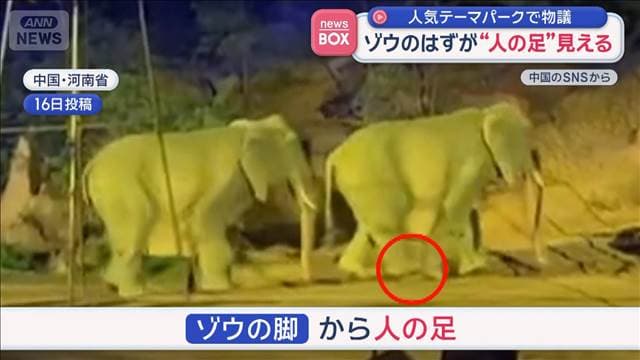 メイン記事画像