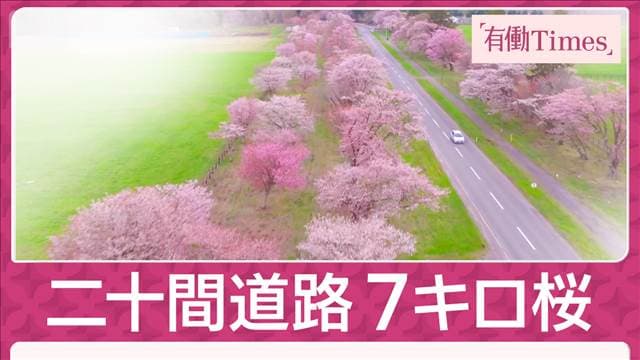 メイン記事画像