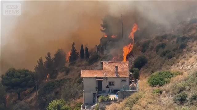 メイン記事画像