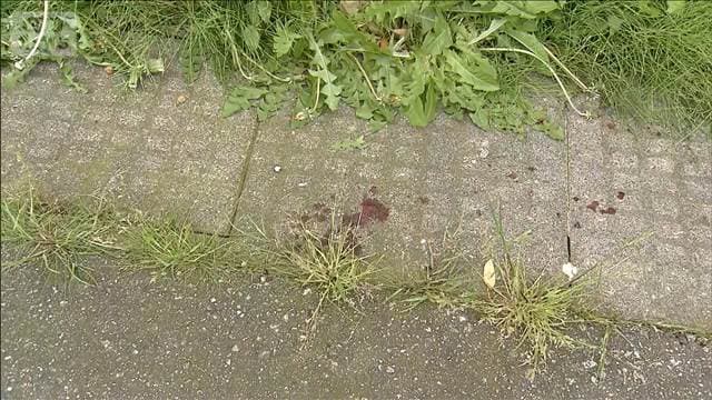 メイン記事画像