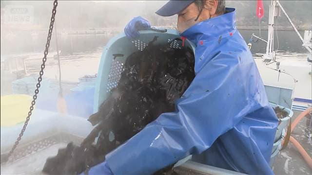 メイン記事画像