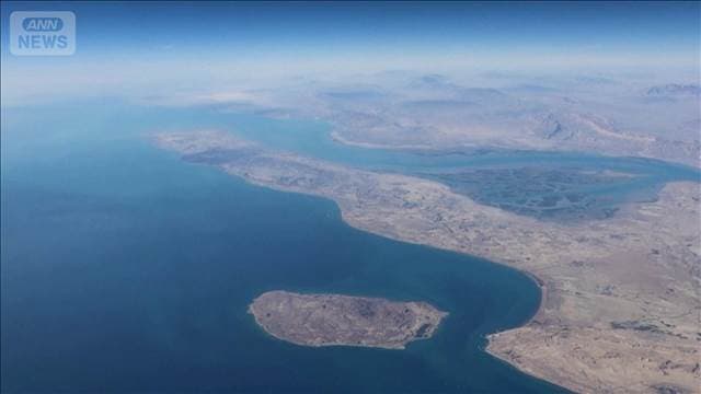 メイン記事画像