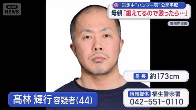 メイン記事画像