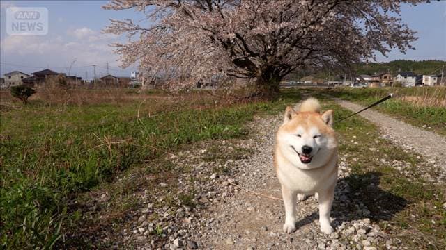メイン記事画像