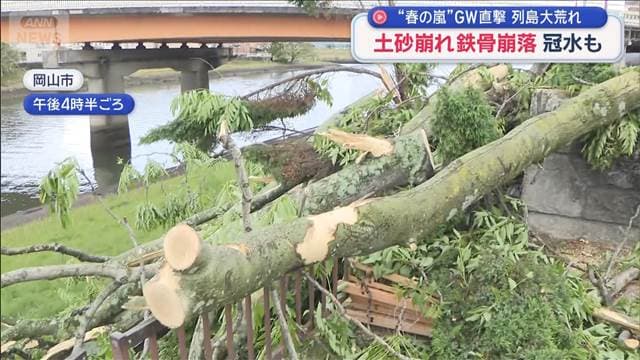 メイン記事画像
