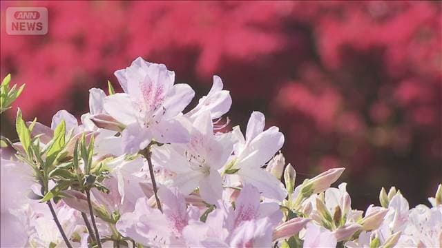 メイン記事画像