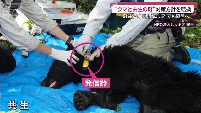 メイン記事画像