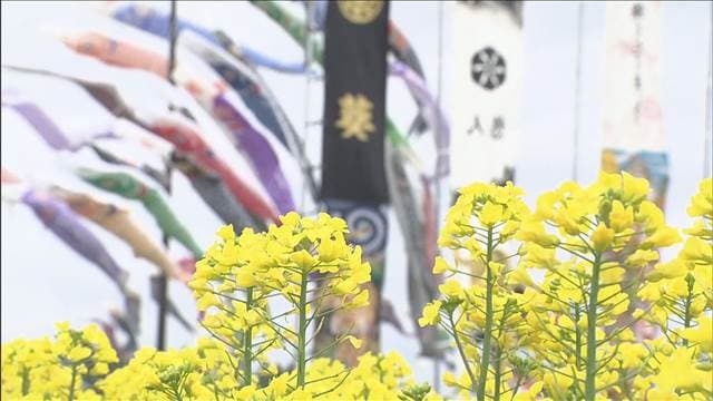 メイン記事画像