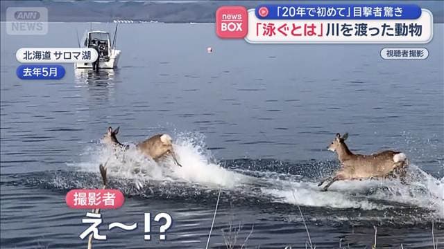 メイン記事画像