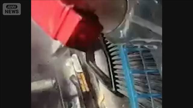 メイン記事画像