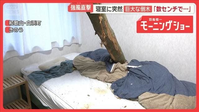メイン記事画像