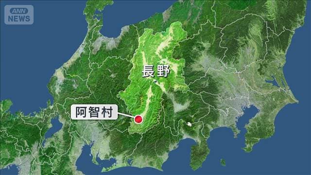 メイン記事画像
