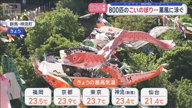 メイン記事画像