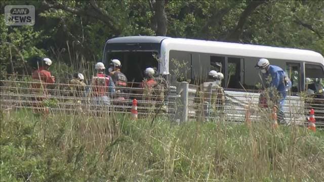 メイン記事画像