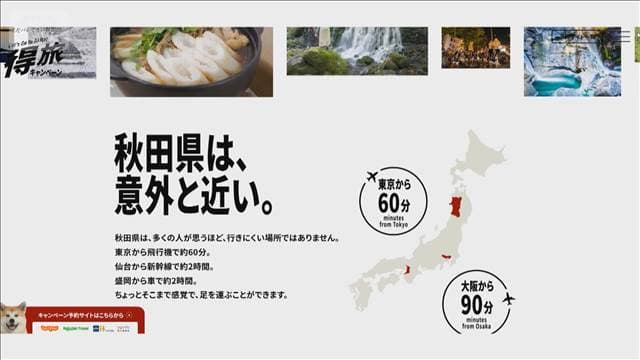 メイン記事画像