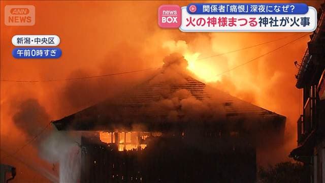 メイン記事画像