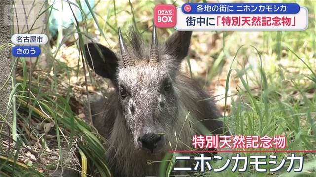 メイン記事画像