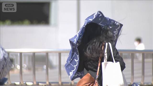 メイン記事画像