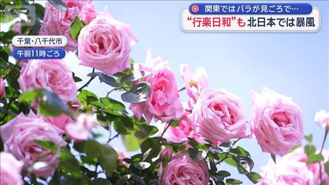 メイン記事画像