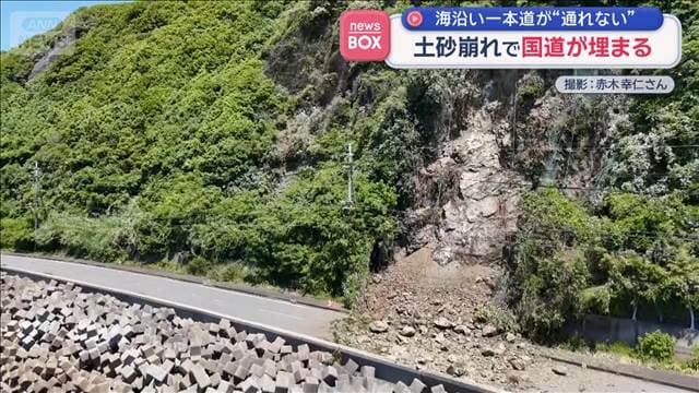 メイン記事画像