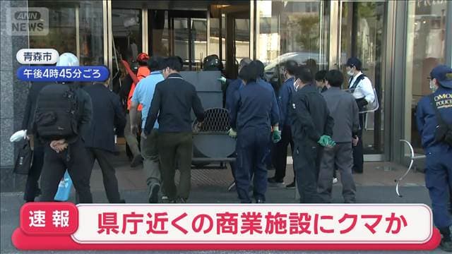 メイン記事画像