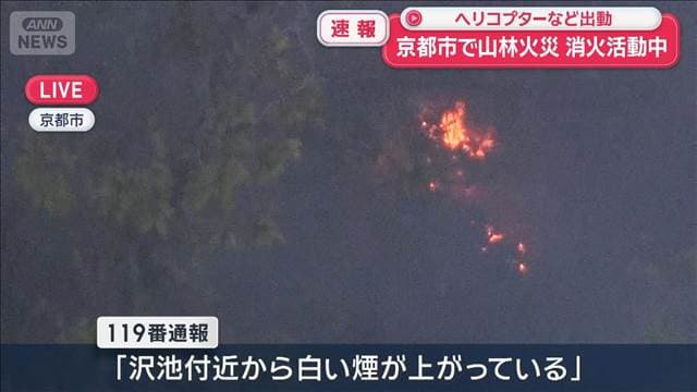 メイン記事画像