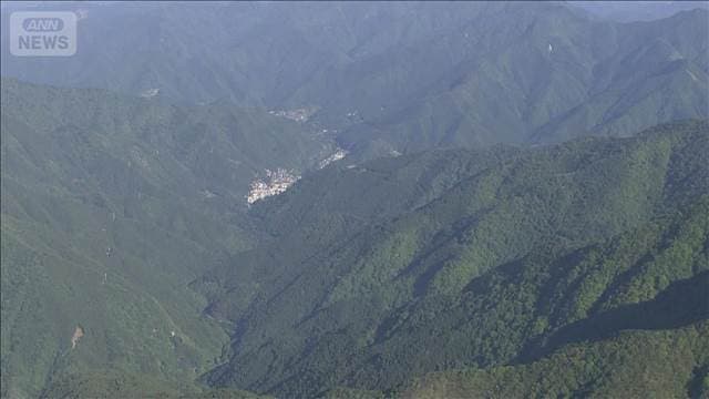 メイン記事画像