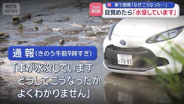 メイン記事画像