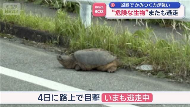 メイン記事画像