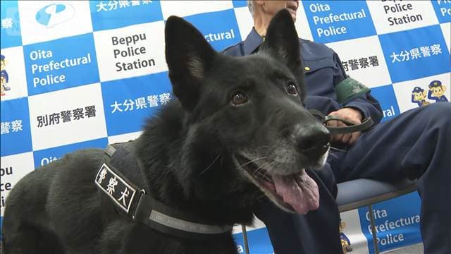 メイン記事画像