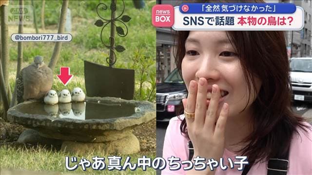 メイン記事画像
