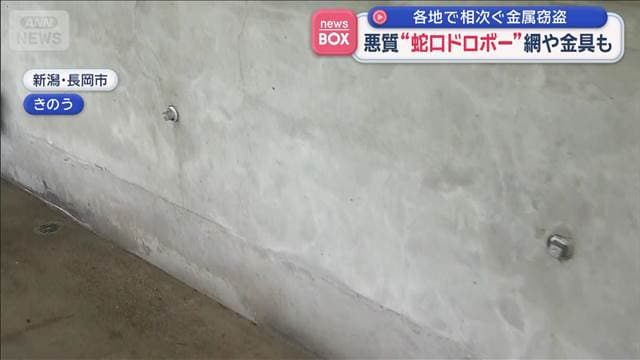 メイン記事画像