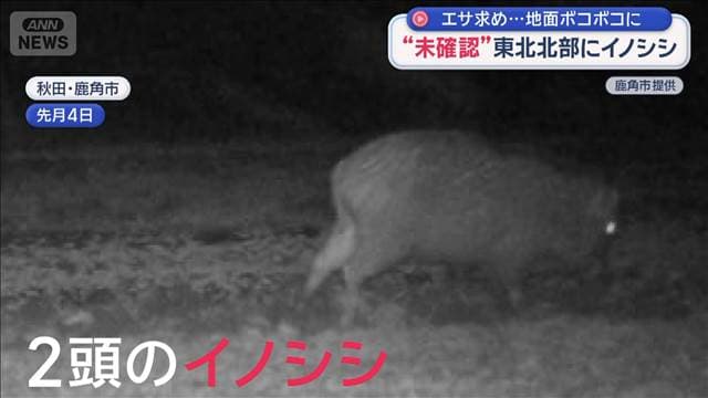 メイン記事画像